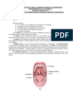 2-Unidad8-Boca_Faringe.pdf