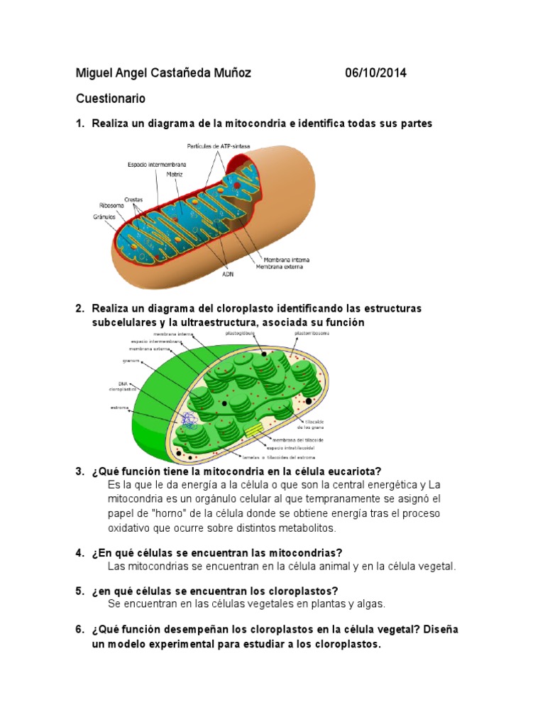 IHMC Public Cmaps, image size:768x1024