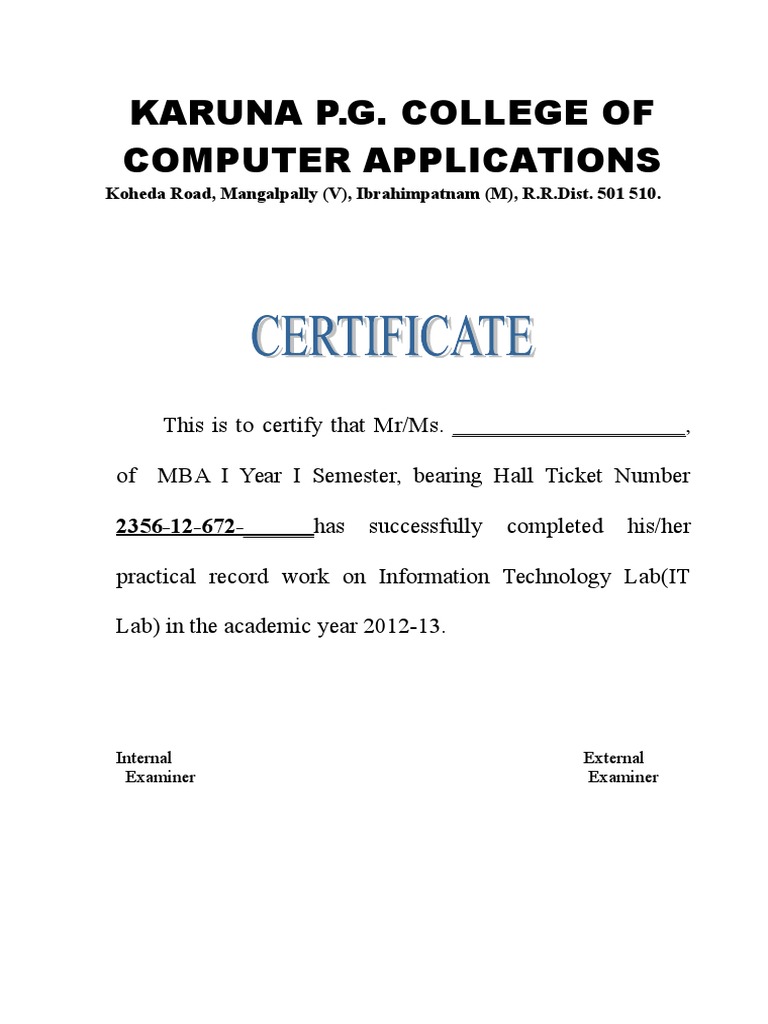 MBA IT Lab Practical Record Certificate | PDF | Microsoft Excel | Table ...