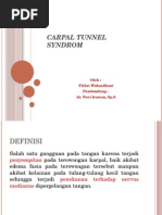 Download Carpal Tunnel Syndrom by Fithri Wulandhani SN254663057 doc pdf