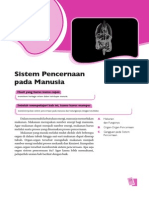 Sistem Pencernaan Manusia