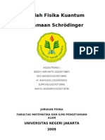 Download Erwin Schrodinger by moch-i w SN25466887 doc pdf
