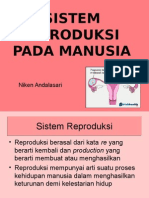 Anfis Reproduksi