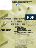 Raport de Expertiza A DME