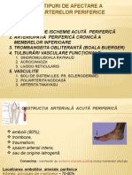 Boala vasculara periferica