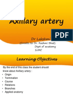 Axillary Artery Anatomy