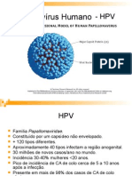 HPV Teoria