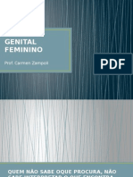 Aparelho Genital Feminino