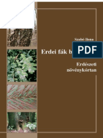 Erdei Fák Betegségei PDF
