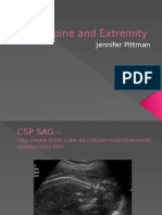 spine and extremity pittman