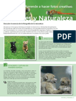 Curso Canon de Fotografia - Animales y Naturaleza