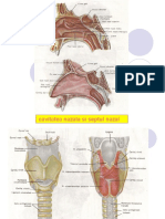 Aparatul Resp Imagini