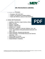 Informe Psicológico Laboral 