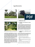 AgroForestería