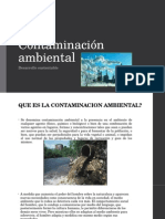 Contaminación Ambiental