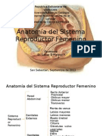Anatomía del Sistema Reproductor Femenino.pptx