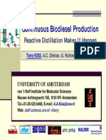 iss T., Dimian a.C., Rothenberg G. Continuous Biodiesel Production