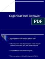 Organizational Behavior Basics