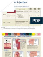 Intramuscular Injection Guidelines