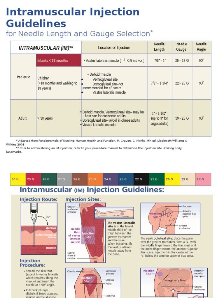 Intramuscular Injection Sites Children