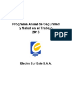 Programa Anual de Seguridad y Salud en El Trabajo 2013