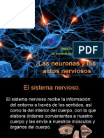 2 Las Neuronas y Los Actos Nerviosos (1)
