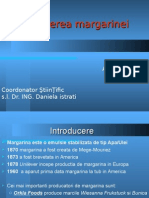 Obtinerea Margarinei PDF