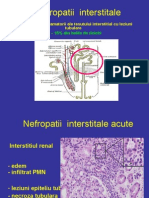 Nefropatii Interstitiale