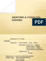 129435321 Anatomi Dan Fisiologi Hidung