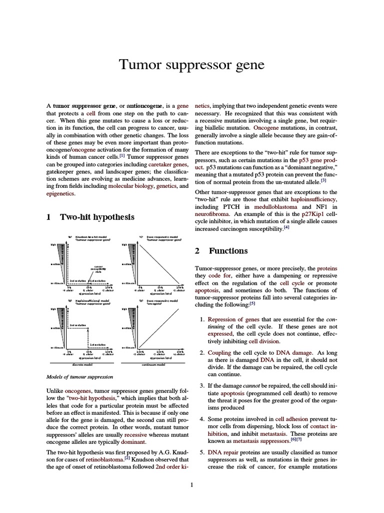 Tumor Suppressor Gene Biology Diagrams