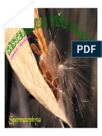 SP 06 Semenice Golosemenice PDF