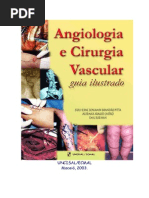 Angiologia e Cirurgia Vascular