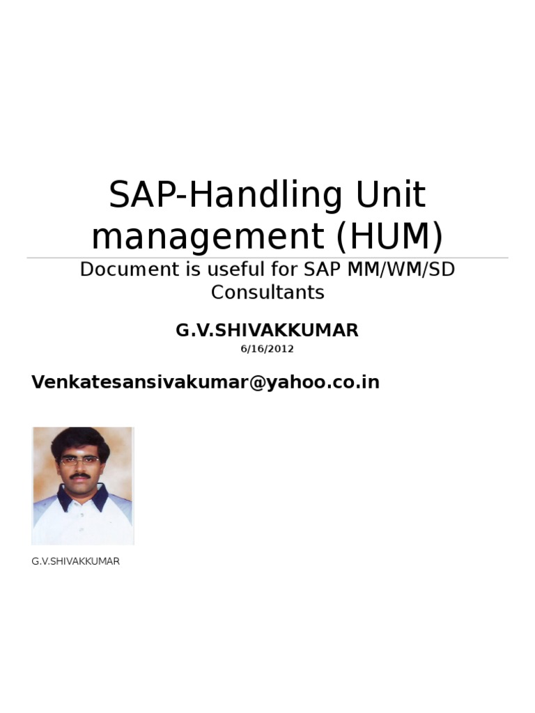 SAP Handling Unit Management PDF Warehouse Logistics