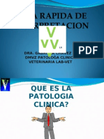 Patología clínica canina: Anemia hemolítica severa