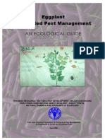 Eggplant IPM Guide: Crop Development, Pests & Practices