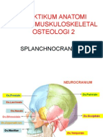 Praktikum Anatomi Sistem Muskuloskeletal Osteologi 2: Splanchnocranium
