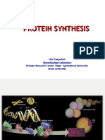 Protein Synthesis: Uus Saepuloh