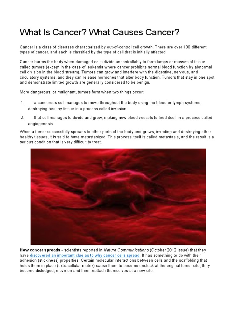 What Is Cancer? What Causes Cancer? Discovered An Important Clue As To