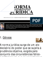 Norma Jurídica PDF