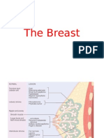 The Breast