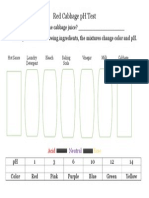 Red Cabbage pH Test Worksheet