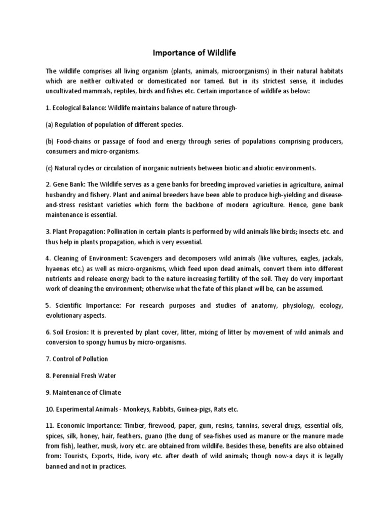 wild life conservation essay