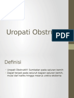 Uropati Obstruktif