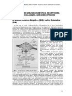 C03 Sistema Nervioso Simpatico