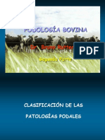 Podología Bovina Segunda