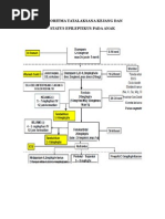 Algoritma Tatalaksana Kejang