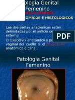 Patologia Genital Femenino CUELLO