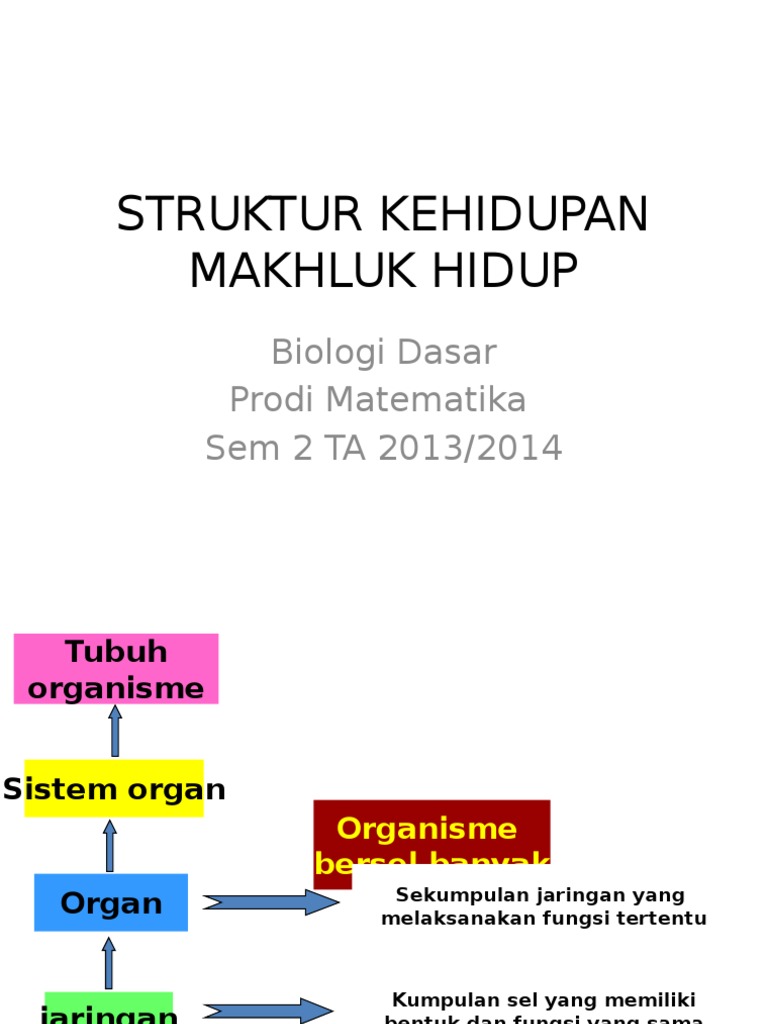 Struktur Kehidupan Makhluk Hiduppptx