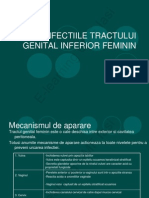 Infectiile Tract Genital Inferior E