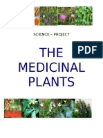 The Medicinal Plants